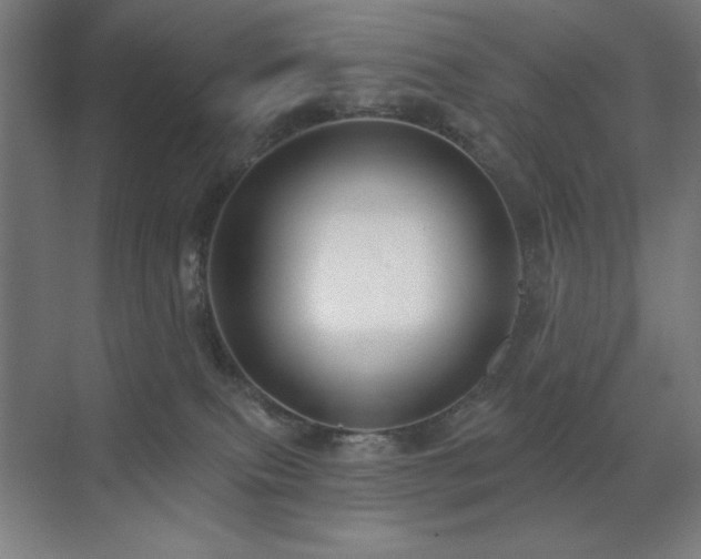 X0000071820087200606301304