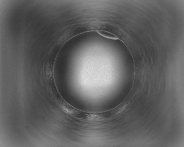 X0000071820091200606301304