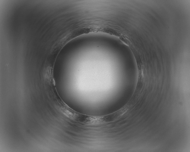 X0000071820093200606301304