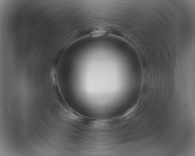 X0000071820094200606301304