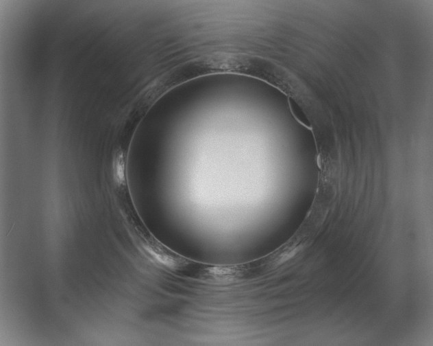 X0000071820095200606301304