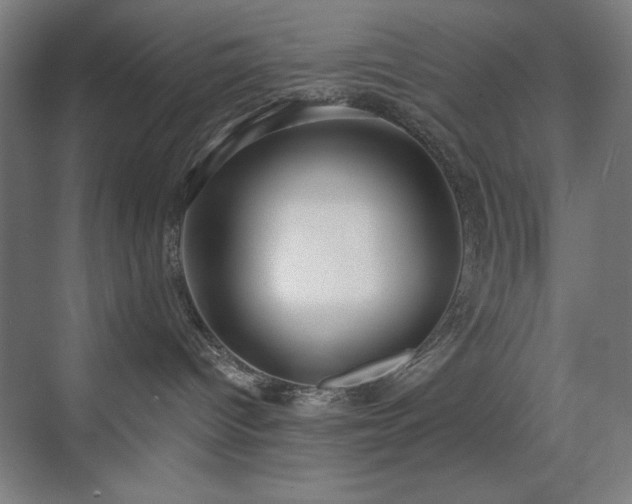 X0000071820096200606301304