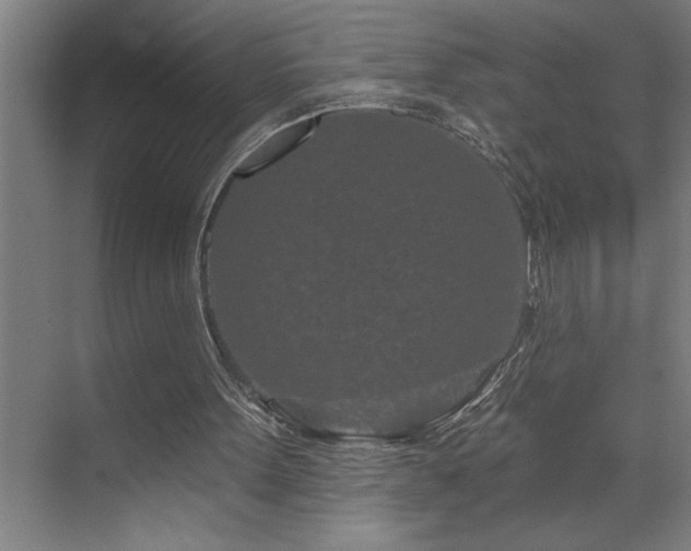 X0000071820099200606301303