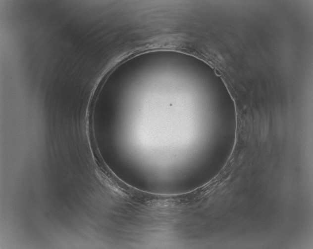 X0000071820100200606301303
