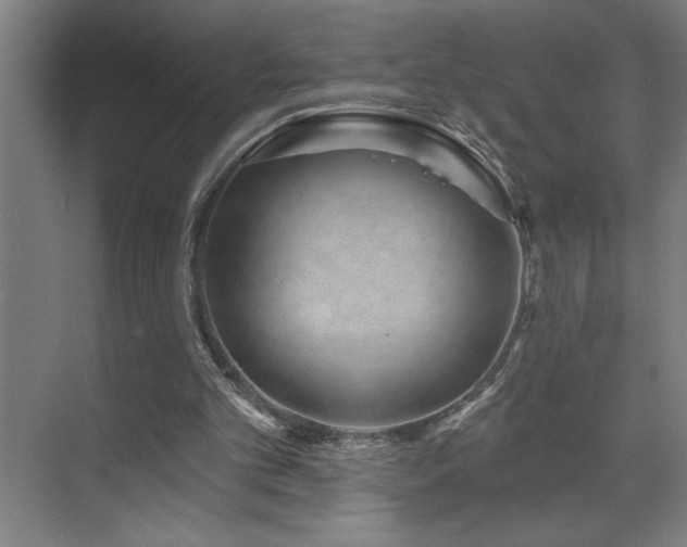 X0000071820101200606301303