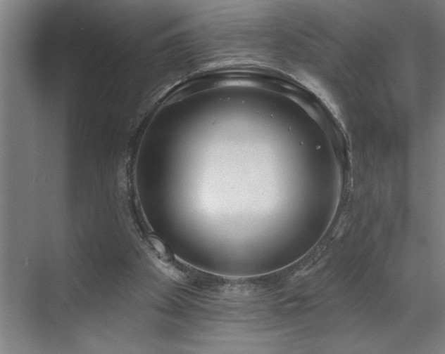 X0000071820105200606301303