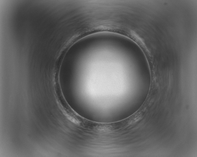 X0000071820106200606301303