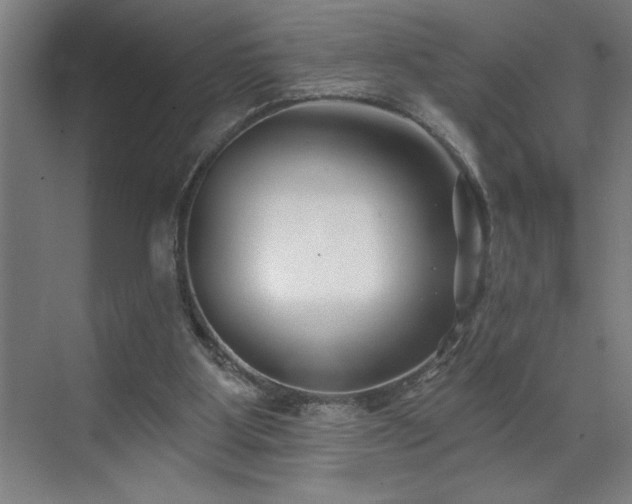 X0000071820107200606301303