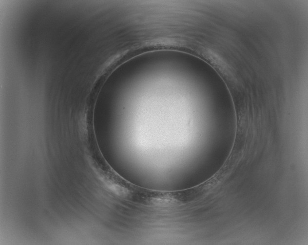 X0000071820112200606301303