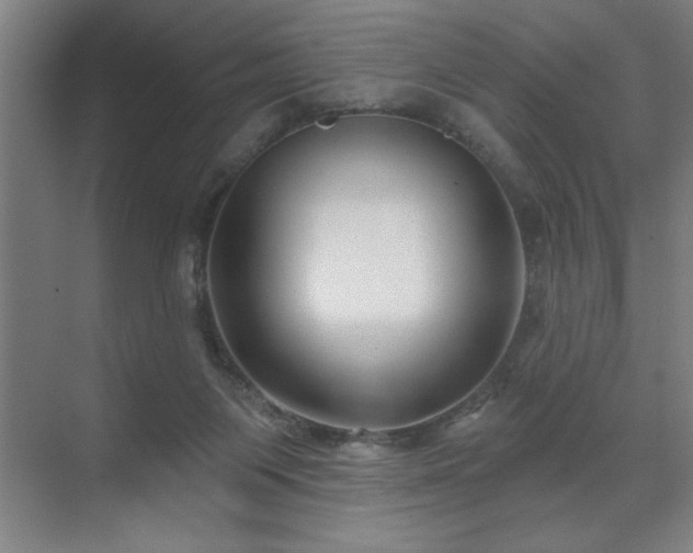X0000071820119200606301303