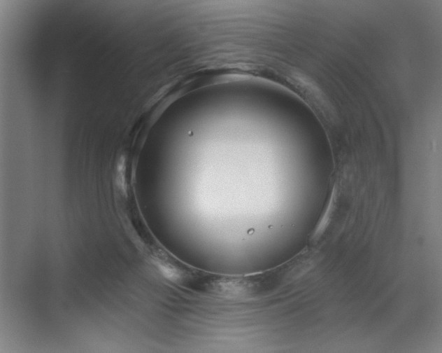 X0000071820121200606301303