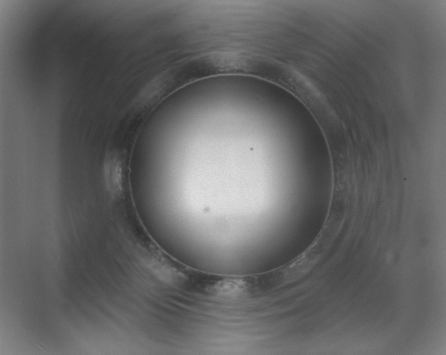 X0000071820124200606301303