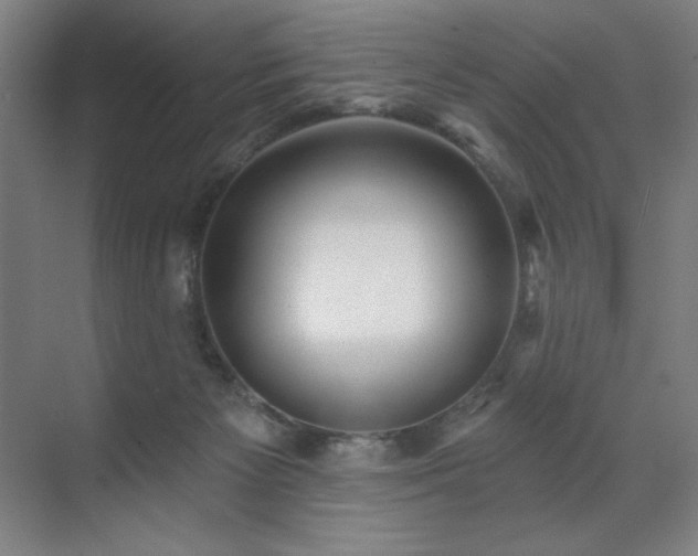 X0000071820125200606301303