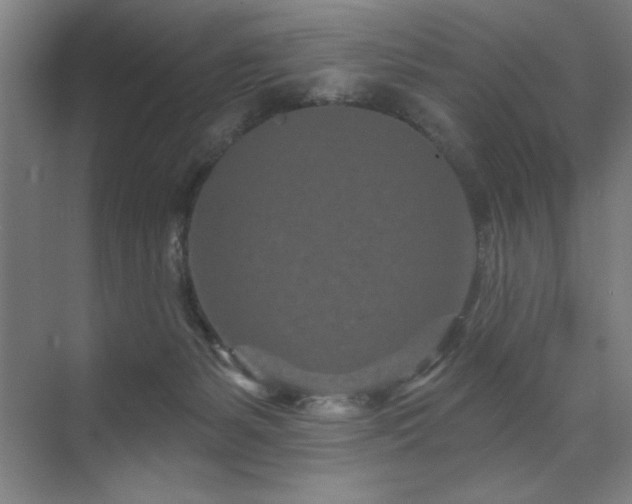 X0000071820127200606301303