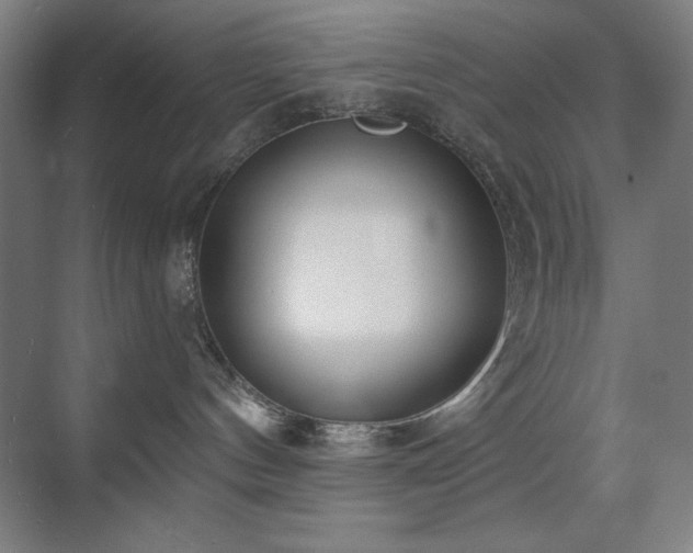 X0000071820144200606301302