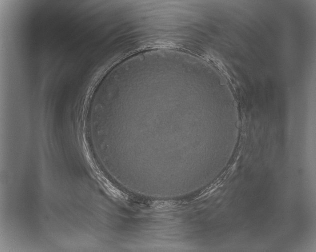 X0000071820145200606301301