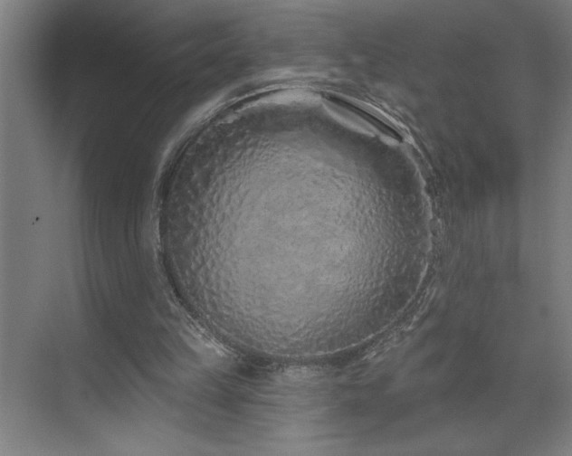 X0000071820149200606301302