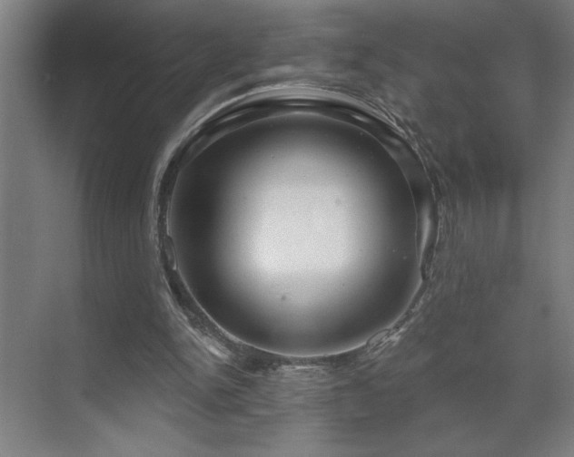 X0000071820150200606301302
