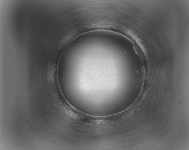 X0000071820153200606301302