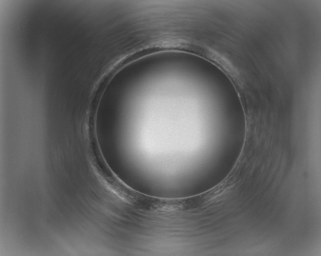 X0000071820155200606301302