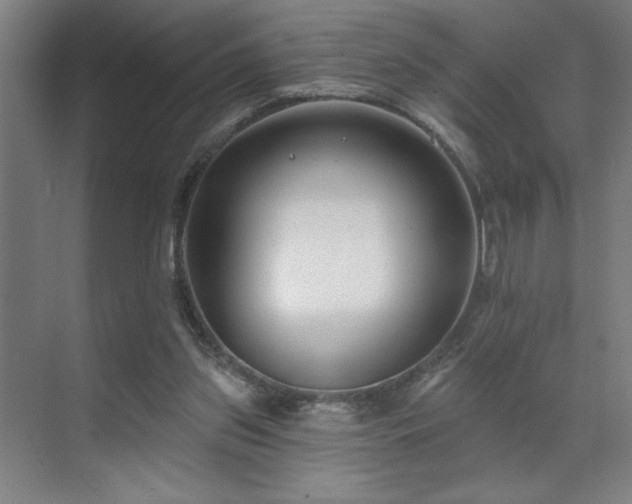 X0000071820157200606301302