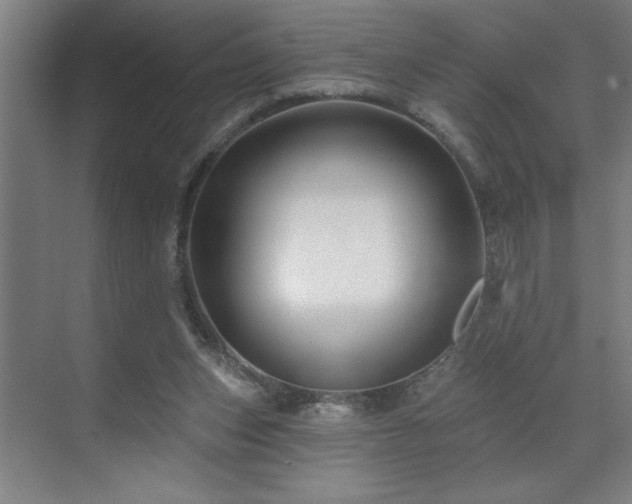 X0000071820159200606301302