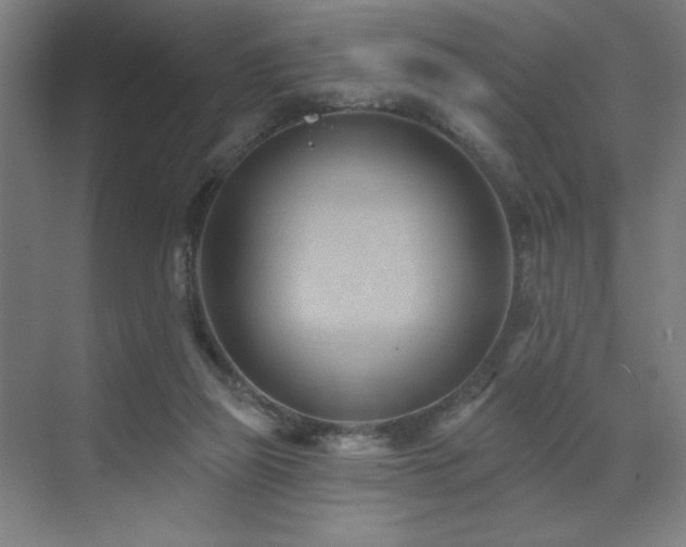 X0000071820165200606301302