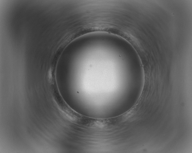 X0000071820166200606301302