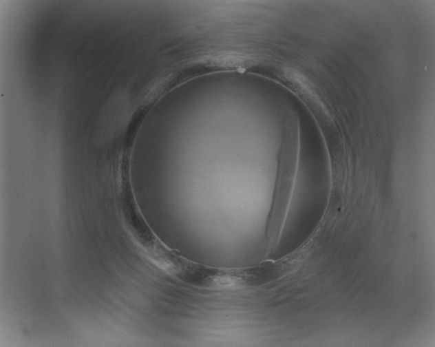 X0000071820167200606301302