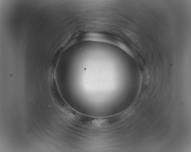 X0000071820172200606301302