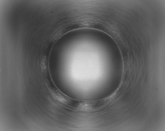 X0000071820174200606301302