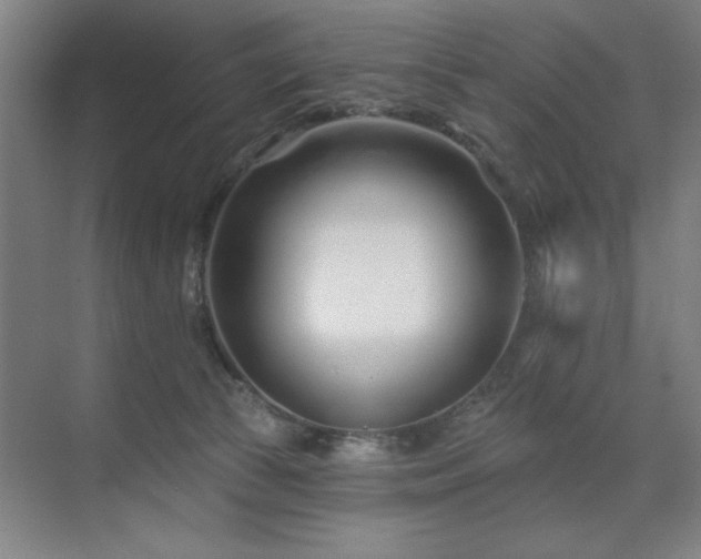 X0000071820177200606301302