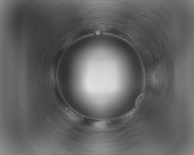 X0000071820178200606301302