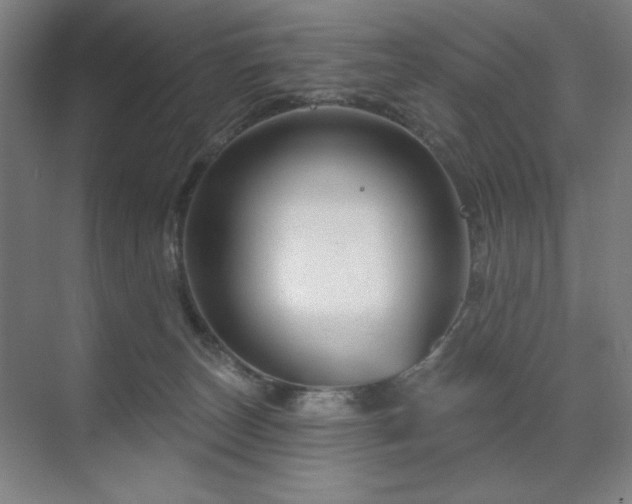 X0000071820179200606301302