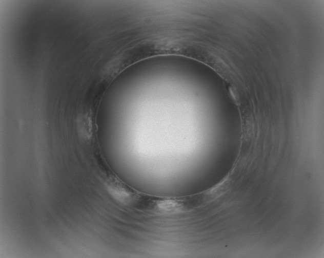 X0000071820183200606301302