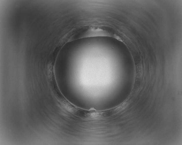X0000071820184200606301302