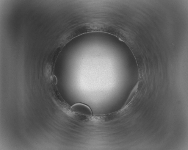 X0000071820187200606301302