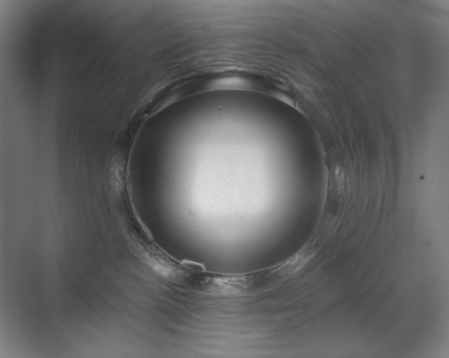 X0000071820188200606301302