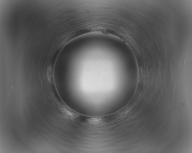 X0000071820189200606301302