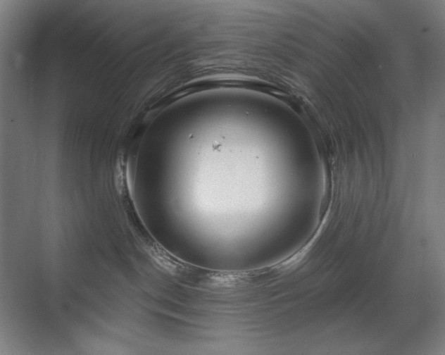 X0000071820190200606301302