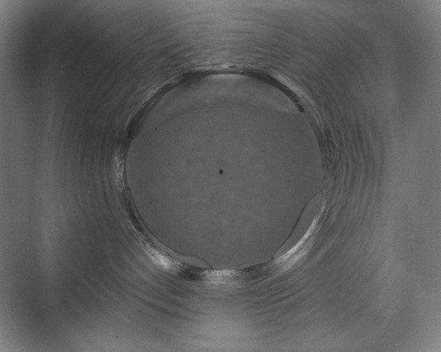X0000071820192200606301302