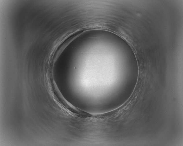 X0000071820193200606301301
