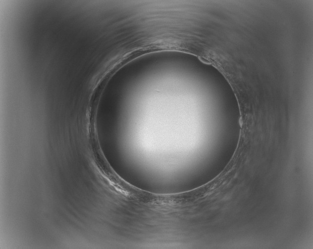 X0000071820194200606301301