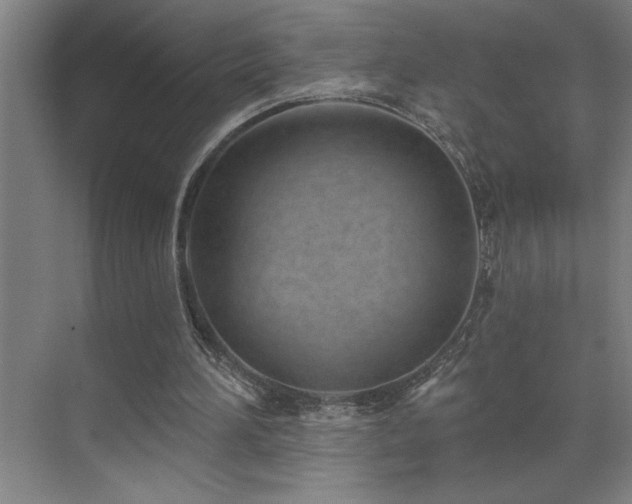 X0000071820196200606301301