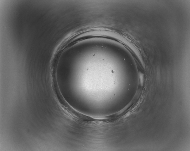 X0000071820197200606301301