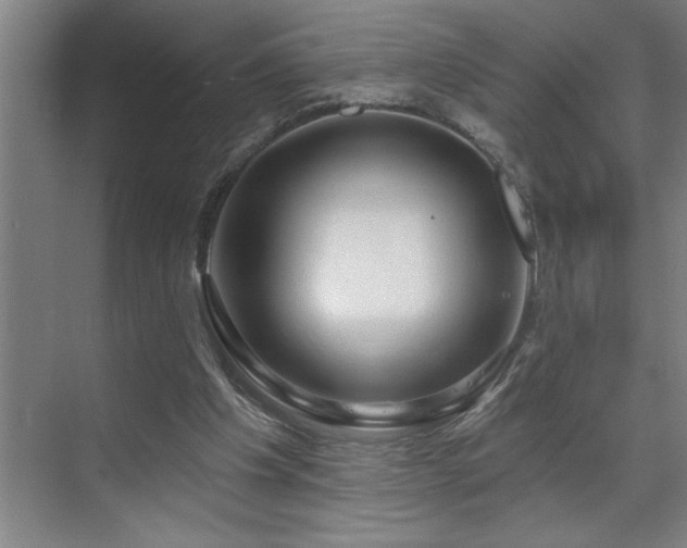 X0000071820201200606301301