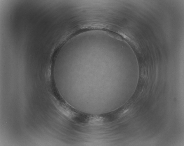 X0000071820206200606301301