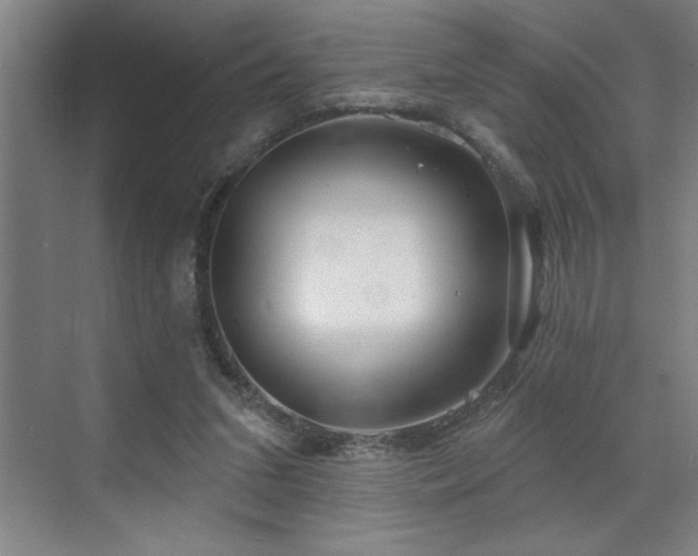X0000071820207200606301301