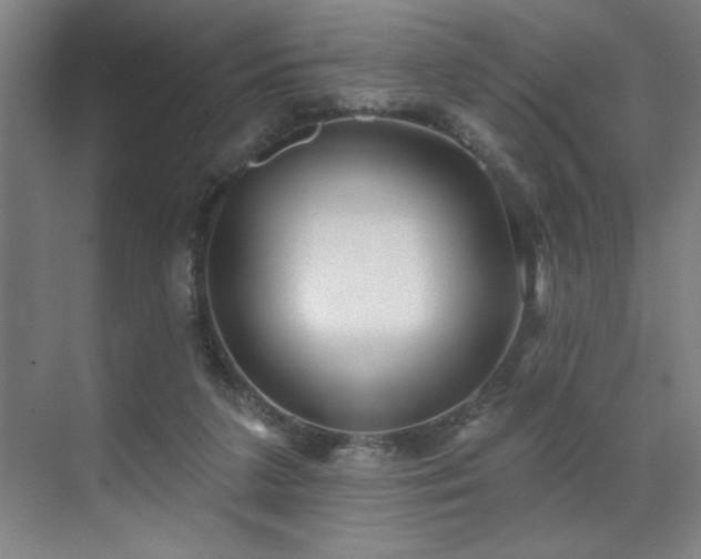 X0000071820211200606301301