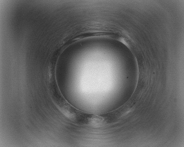 X0000071820215200606301301